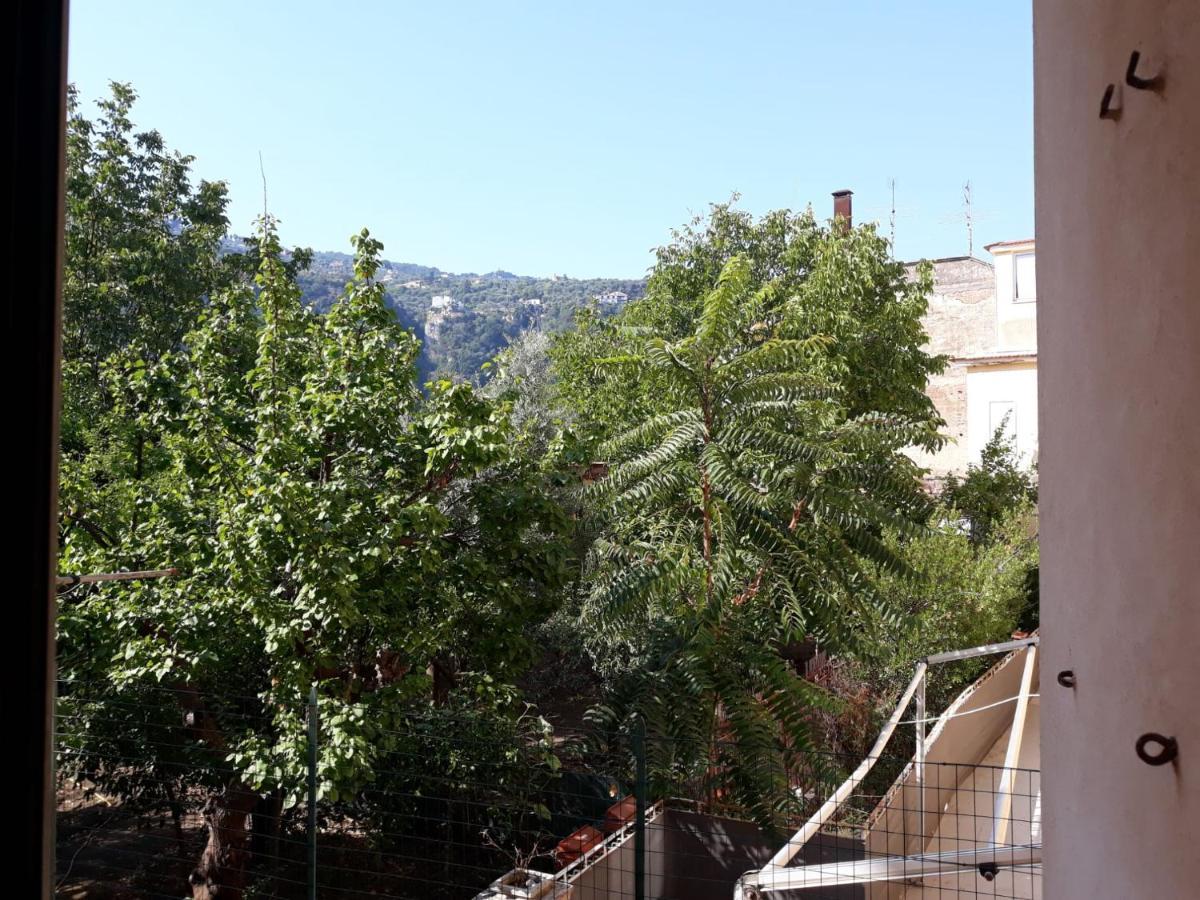 Rita Flat Apartment Sorrento Exterior photo